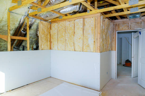 Best Affordable Insulation Services  in Florissant, MO
