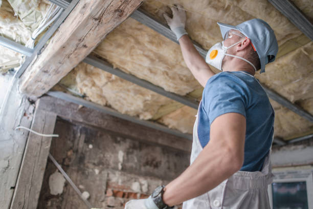 Garage Insulation Installation in Florissant, MO