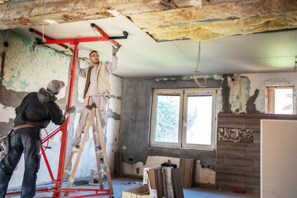 Best Residential Insulation Services  in Florissant, MO