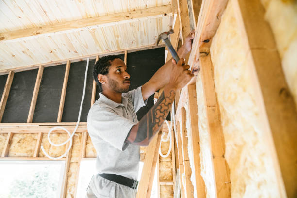 Best Insulation Contractor Near Me  in Florissant, MO