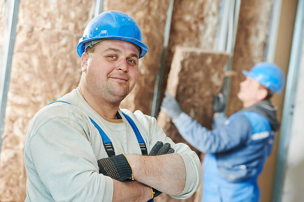 Best Energy-efficient Insulation  in Florissant, MO
