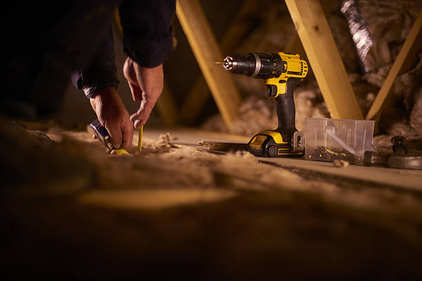 Best Cellulose Insulation  in Florissant, MO