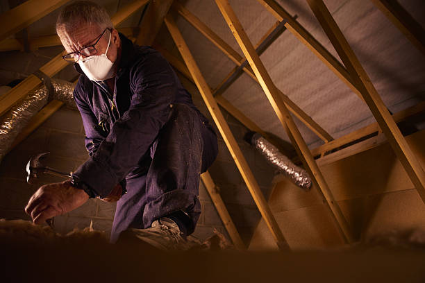 Best Affordable Insulation Services  in Florissant, MO