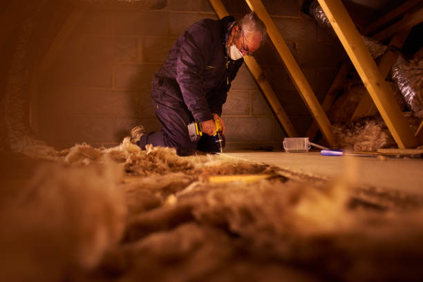 Best Local Insulation Services  in Florissant, MO